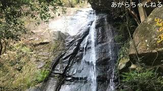 【和歌山県田辺市】気絶するほど美しい⁉︎奇絶峡の紅葉。