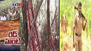 Red Sandal Wood Smugglers Attack on Task Force Police | Seshachalam Forests | TV5 News