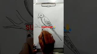 Howto draw parrot | Parrot drawing | तोता का चित्र । shorts | #parrot