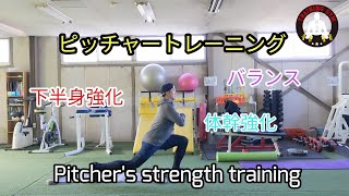 ピッチャートレーニング/Pitcher's strength training/スライドボード編