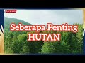 Penting kah Hutan ?? | #jungle  @Eybiway