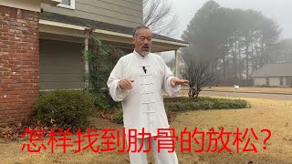 继昨天的太极拳放松的另一个难点：怎样找到肋骨的放松？中国传统武术太极、形意、八卦三大内家拳之首的太极的魅力