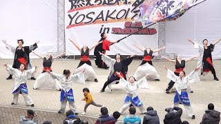 Sakura吹舞輝 ② @ 燃えろ足利！YOSAKOI祭り (アシコタウンあしかが) 2020-02-16T14:12