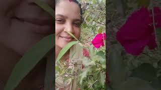 #malayalam #music 🌲🌺🌷 ഏത് നാട്ടിലാണോ കഥ എന്ന് നടന്നതാണോ -