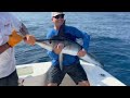 epic fishing in cabo san lucas multiple giants