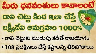 మీరు ధనవంతులు కావాలంటే రావి చెట్టు కింద ఇలా చేస్తే లక్ష్మీదేవి అనుగ్రహం 1000% ..