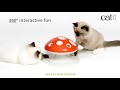 Catit - Senses Mushroom