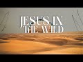 Jesus in the Wild: Trust