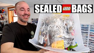 Sealed LEGO Set Bags Found at the Yard Sale