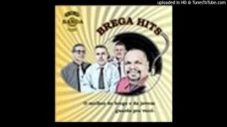 BANDA BREGA HITS (O melhor do Brega e da jovem guarda)