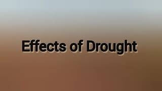 Droughts Causes And Effects Of Droughts Drought For Kids