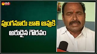 పుంగనూరు జాతి ఆవుకి అరుదైన గౌరవం | Worldwide Recognition for Punganur Cows | Sakshi TV