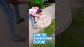 ଆପଣ ମାନେ ଜାଣିଛନ୍ତି କି ସେ ଜିନିଷ ର ନ କନ