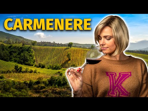 What does a Carmenere wine taste like?