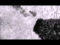 Saudade / Satori + Halcyon
