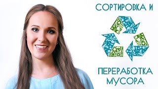 Раздельный сбор мусора. Как правильно сортировать отходы?