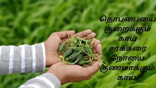 அதலக்காய் பயன்கள் || Health Tips || Rj Sahana shalini