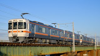 [全検明けピカピカ]JR東海313系3000番台(R113+R115) 普通豊橋行き　飯田線下地〜船町