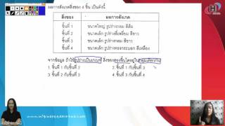 คอร์สวิทยาศาสตร์สสวท. ป.3 โดยพี่นิ