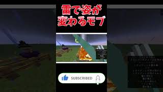 【マイクラ】雷に打たれると姿が変わるモブ！？