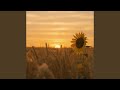 The Dawn in Ukraine