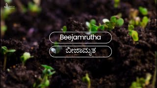 Beejamrutha Preparation| Organic Seed Treatment Methods | A Step-by-Step Guide