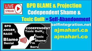 Borderlines Projective Blame - Codependents False Self - Toxic Shame &  Guilt - False Responsibility