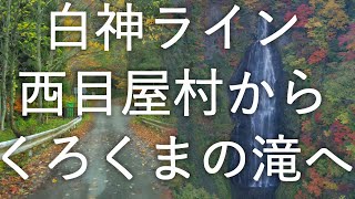 【ドライブ】白神ライン 西目屋村からくろくまの滝【青森県道28号】4K60P HDR