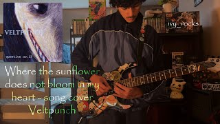 Where the sunflower does not bloom in my heart - Veltpunch Song cover