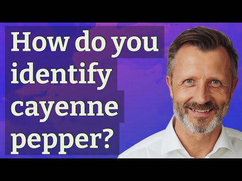 What is the other name of red chilli?