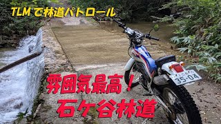 石ケ谷林道を再び！安定の楽しさ！【昭和の2スト・オフロードバイクで山散歩＃16】