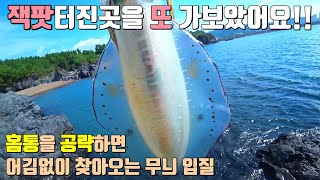 제주도 무늬오징어 대박친 포인트를 다시 가봤더니?!