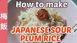 How to make [JAPANESE SOUR PLUM RICE]/UMEBOSHI/good for summer