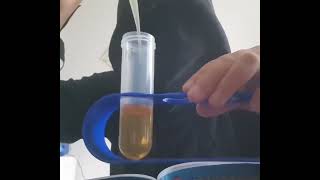 Iodine experiment