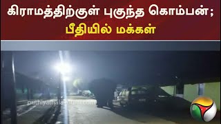 கிராமத்திற்குள் புகுந்த கொம்பன்.. பீதியில் மக்கள் | Elephant enters Village | Munnar | | PTT