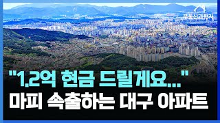 계약금 포기하고 돈 더 얹어 드립니다!! 마피 1.2억 초토화된 대구 아파트 시장 | 대구 메이저 아파트 TOP 10