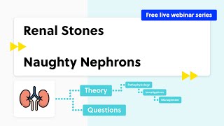Renal Stones (case-based discussion, theory and quiz)