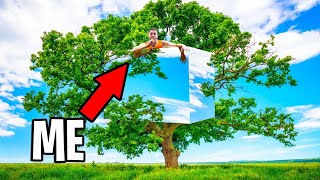 We Built An Invisible Treehouse