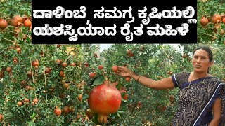 A Successful woman in Pomegranate, Integrated farming | ದಾಳಿಂಬೆ, ಸಮಗ್ರ ಕೃಷಿಯಲ್ಲಿ ರೈತ ಮಹಿಳೆ ಯಶಸ್ವಿ