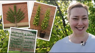 Easy Fruit Tree Training - Espalier, Fan, and Cordon Step By Step