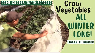 Grow Vegetables All Winter: Secrets from a Midwest Farm You Can Use in Your Garden