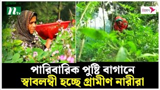 পারিবারিক পুষ্টি বাগানে স্বাবলম্বী হচ্ছে গ্রামীণ নারীরা | NTV News