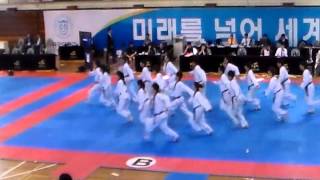 2013 동아대총장기 개막식시범 하이라이트