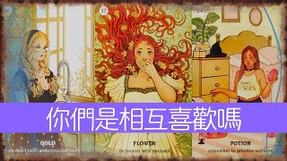 【感覺確認】你們是相互喜歡嗎？誰愛誰多一點？  |曖昧|愛情|感情|桃花|塔羅占卜|