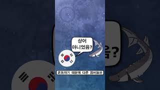 크로니의 한국 관련 접점 10가지