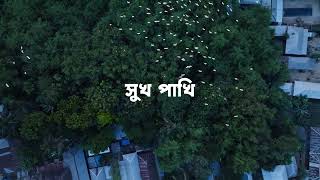 সুখ পাখি । SUKH PAKHI | সাদা বকের অভয়ারণ্য