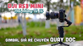 DJI RS3 MINI | Gimbal giá rẻ, Nhỏ nhưng có Võ