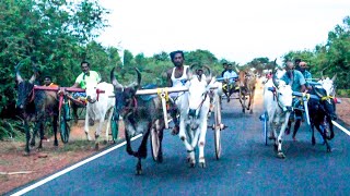 கல்லல் உடையப்பா சக்தி அம்பலம் நினைவாக சவாரி