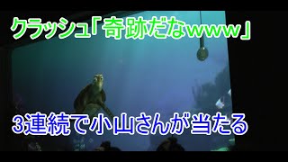 🔵【奇跡】3連続で小山さんが当たる【タートルトーク】東京ディズニーシー