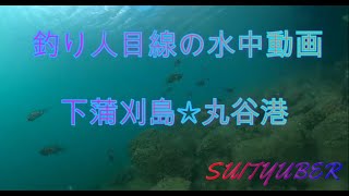 釣人目線の水中動画　下蒲刈島・丸谷港編